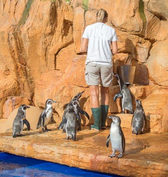 Lone Working Zoo Keeper