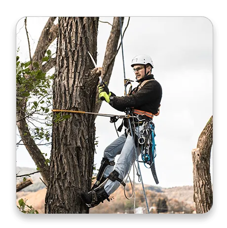 Remote and lone worker safety monitoring in the field