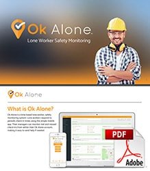 What is Ok Alone pdf