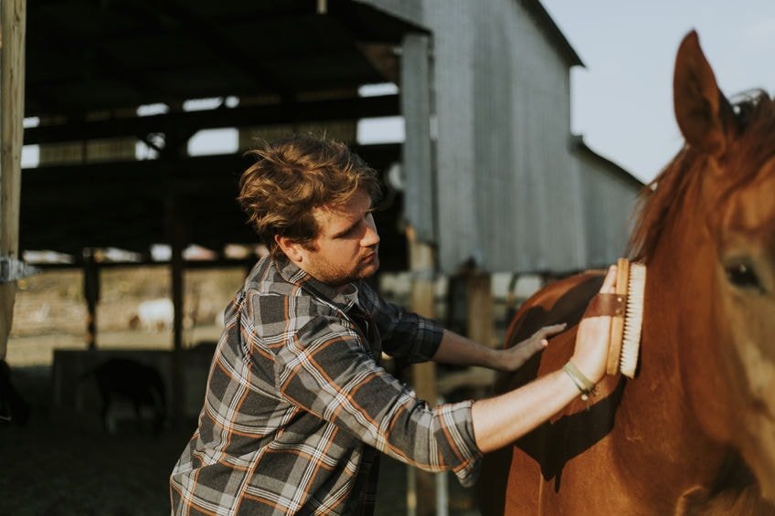 How Lone Working effects Grooms, Stable Hands and Farriers in North America