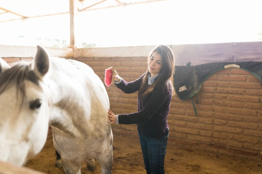 How Lone Working affects Grooms, Stable Hands and Farriers in the U.K