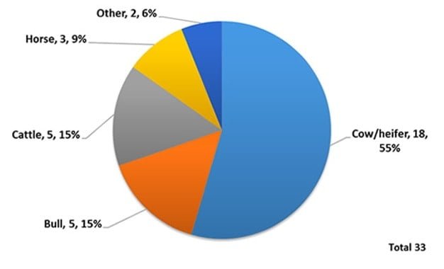 deaths by livestock lone workers