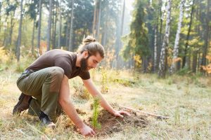 forestry lone worker