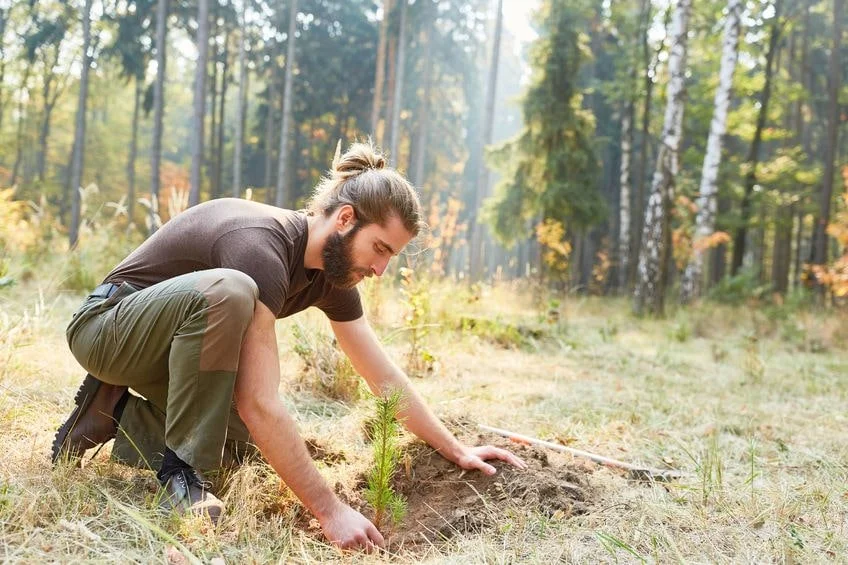 Forestry lone worker