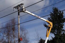 Powerline lone worker