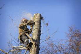 Lone Worker Safety System